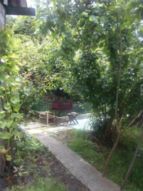 Guesthouse Gus'-Khrustal'nyy
